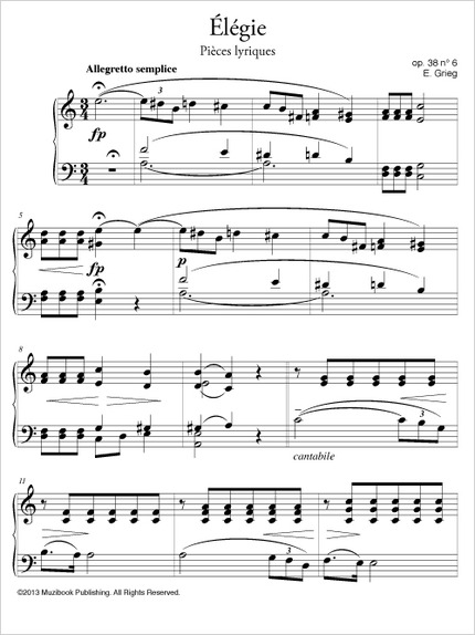 Pièce lyrique op. 38 n° 6 ''Élégie'' - Edvard Grieg - Muzibook Publishing